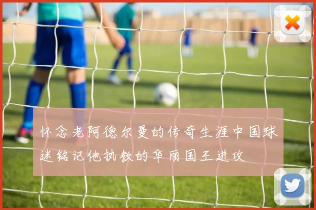 怀念老阿德尔曼的传奇生涯中国球迷铭记他执教的华丽国王进攻